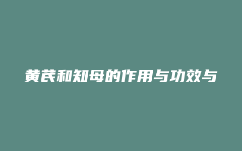 黄芪和知母的作用与功效与作用