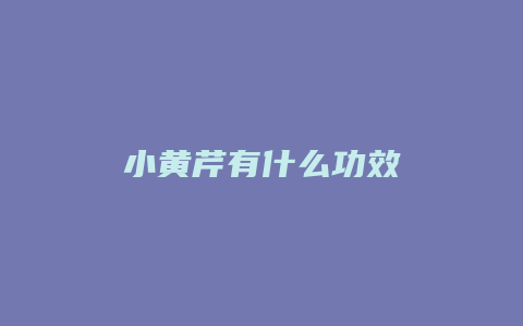 小黄芹有什么功效