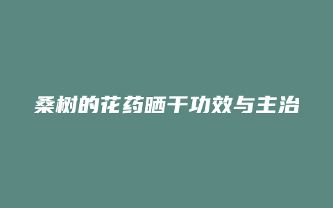 桑树的花药晒干功效与主治