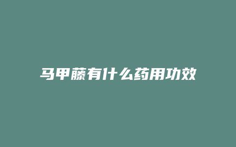 马甲藤有什么药用功效