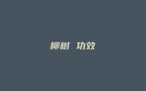 柳树 功效