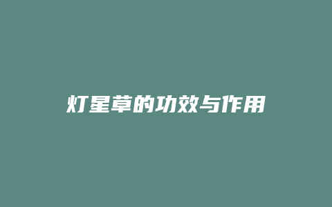 灯星草的功效与作用