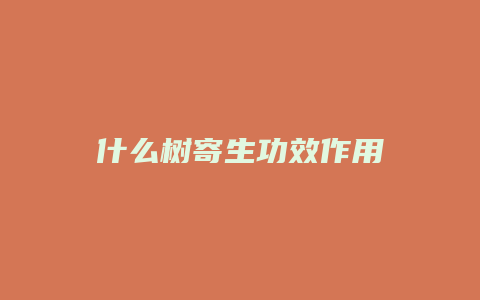什么树寄生功效作用