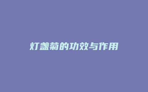 灯盏菊的功效与作用