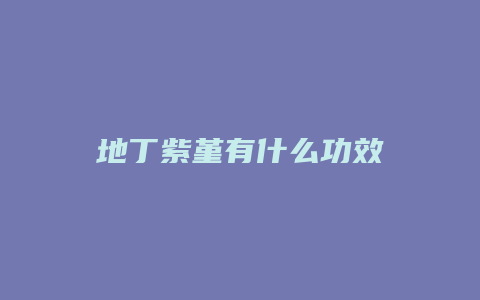 地丁紫堇有什么功效