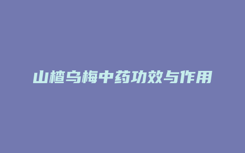 山楂乌梅中药功效与作用