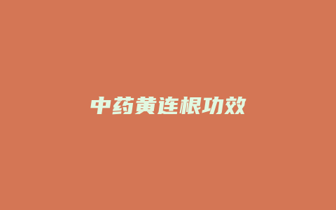 中药黄连根功效