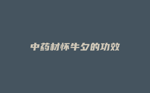 中药材怀牛夕的功效