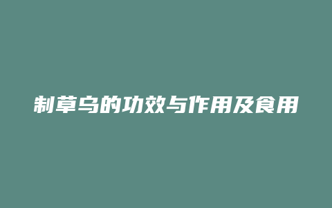 制草乌的功效与作用及食用方法