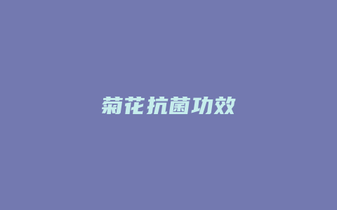 菊花抗菌功效