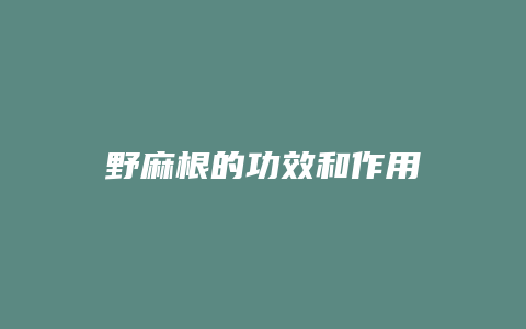 野麻根的功效和作用