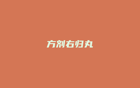 方剂右归丸