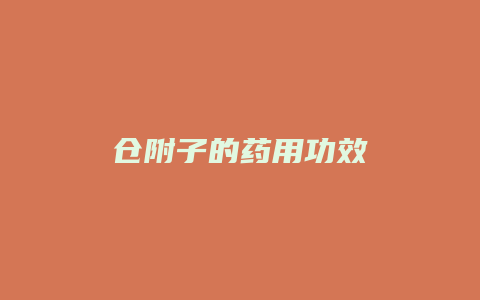 仓附子的药用功效
