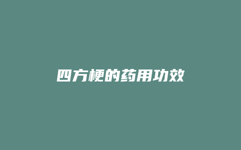 四方梗的药用功效