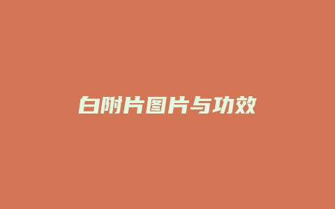 白附片图片与功效
