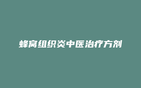 蜂窝组织炎中医治疗方剂
