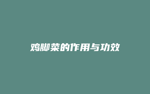 鸡脚菜的作用与功效