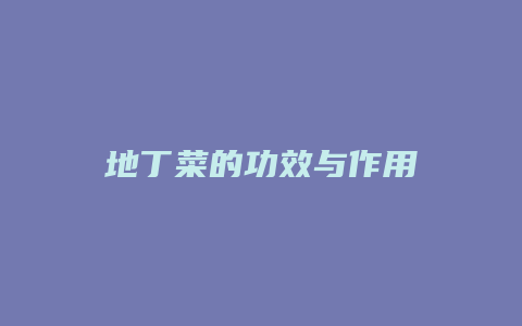 地丁菜的功效与作用