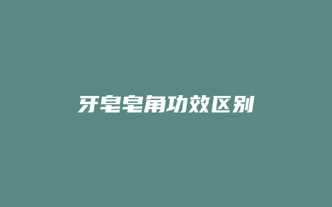 牙皂皂角功效区别