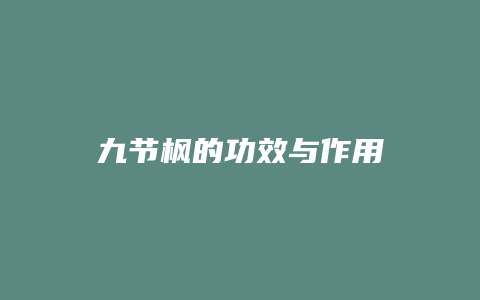 九节枫的功效与作用