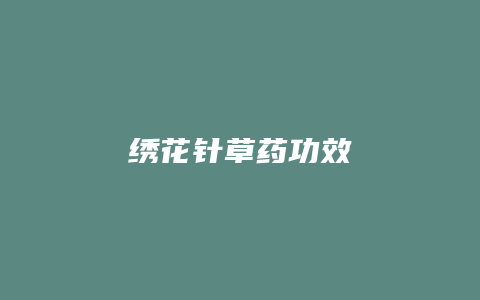 绣花针草药功效