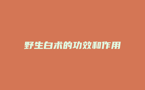 野生白术的功效和作用