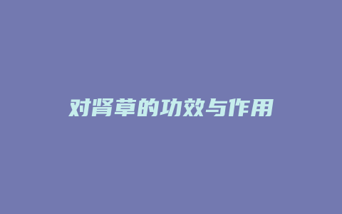 对肾草的功效与作用