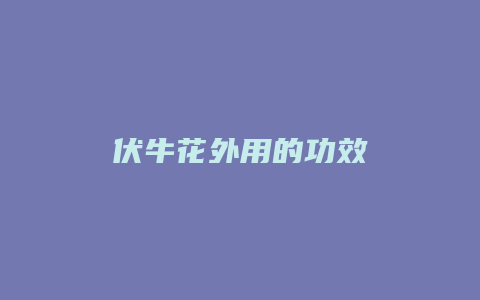 伏牛花外用的功效