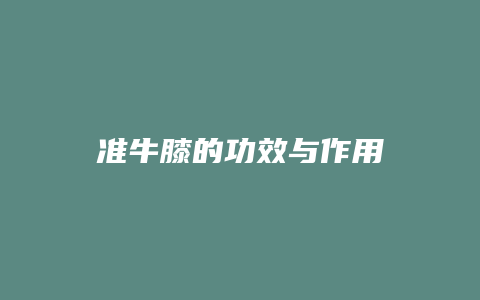 准牛膝的功效与作用