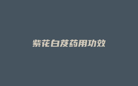 紫花白芨药用功效