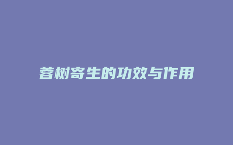 蓉树寄生的功效与作用