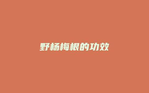 野杨梅根的功效