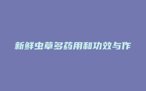 新鲜虫草多药用和功效与作用