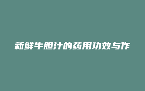 新鲜牛胆汁的药用功效与作用