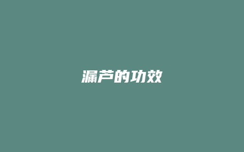 漏芦的功效