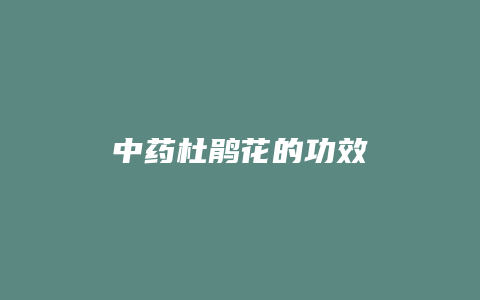 中药杜鹃花的功效
