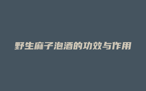 野生麻子泡酒的功效与作用
