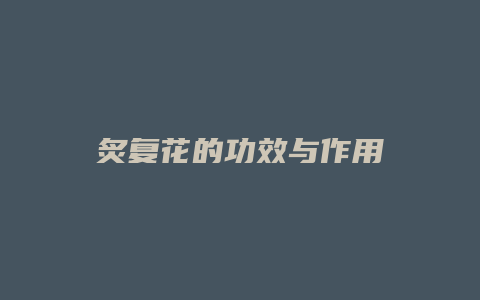 炙复花的功效与作用