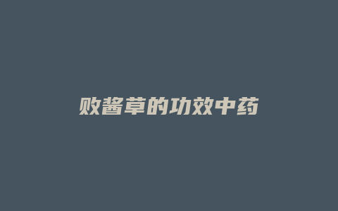 败酱草的功效中药