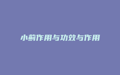 小蓟作用与功效与作用