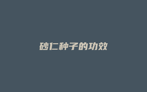 砂仁种子的功效