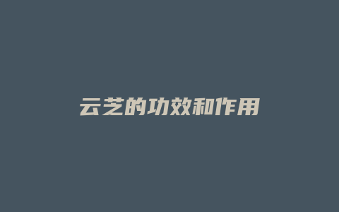 云芝的功效和作用