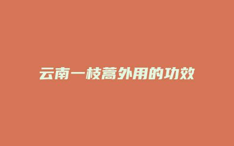 云南一枝蒿外用的功效