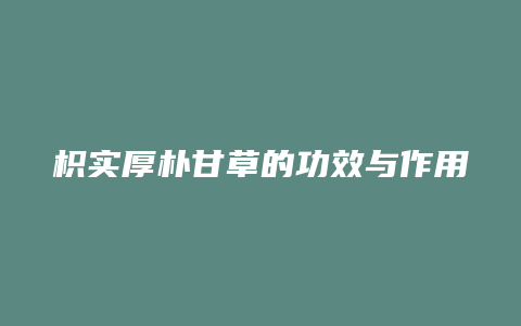 枳实厚朴甘草的功效与作用