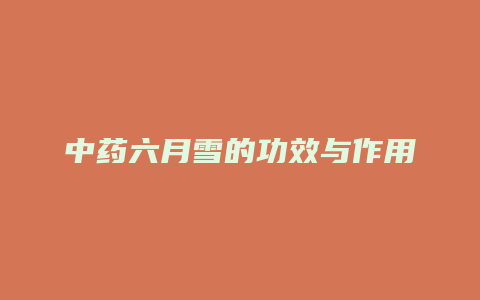 中药六月雪的功效与作用
