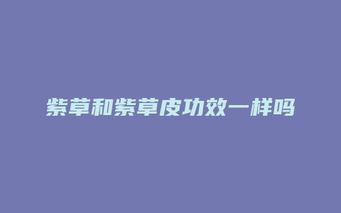 紫草和紫草皮功效一样吗