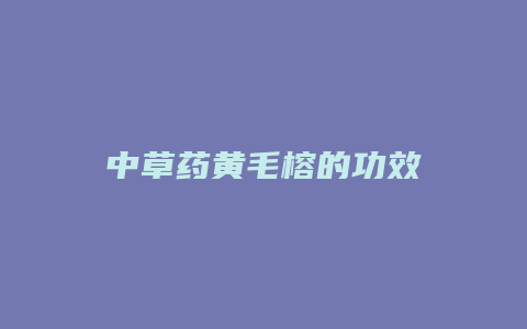 中草药黄毛榕的功效