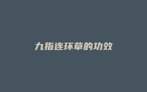 九指连环草的功效