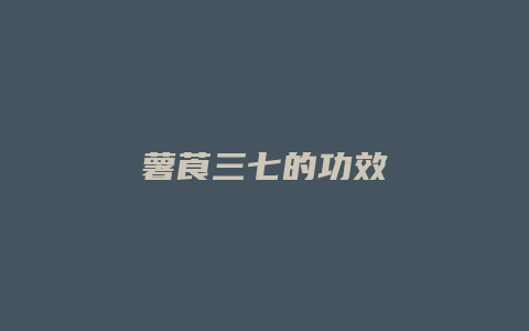 薯莨三七的功效