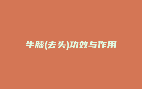 牛膝(去头)功效与作用